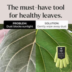BLESS YOUR SOIL Microfiber Dusting Gloves for Plants : Premium, Gentle, Traps Dust, Washable, Lint Free : Use with Big Leaf Energy ready-to-use spray for houseplants