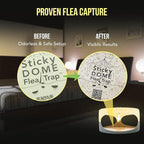 ASPECTEK Sticky Dome Flea Trap, Odorless Glue Trap with 2 Sticky Discs, Effective Bed Bug Killer and Flea and Tick Treatment, Indoor Insect Trap for Bugs, 2 Packs in White and Light Gray