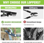 WORKPRO Extendable Anvil Lopper for Gardening, 25-37" Branch Cutter with 1.6" Cutting Capacity, Heavy-Duty Pruning Shear Featuring Gear System for Tree Trimming, Handheld Garden Shear with Sharp Blade