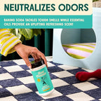 Aunt Fannie's Carpet Refresher & Deodorizer Powder, Multi-Purpose Carpet, Rug, and Upholstery Odor Eliminator for Homes with Cats and Dogs, Bright Lemon Scent, 16 Oz (Pack of 1)