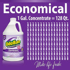 OdoBan Ready-to-Use Disinfectant and Odor Eliminator, Made in the USA, Lavender Scent, Set of 2, 32 oz Spray and 1 Gallon Concentrate