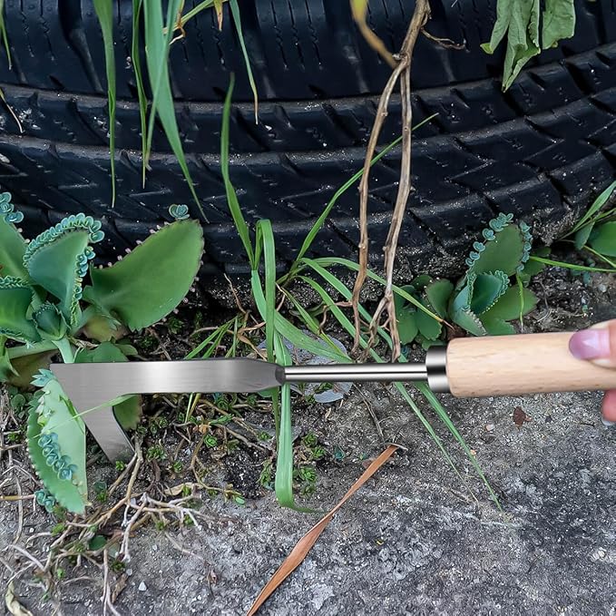 3 Pack Stainless Steel Weeder Puller Tool,Patio Crack Weeder for Cracks,Pavers,Driveways,Moss Removal,Crevice Weeding Digger Tool,Uprooting Weeding Tool for Planting,Weeding