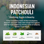 Laundry Sauce Fabric Refresher Spray Indonesian Patchouli, Odor-Fighting Fabric Refresher, Fragrance and Laundry Scent, 9.8 fl oz