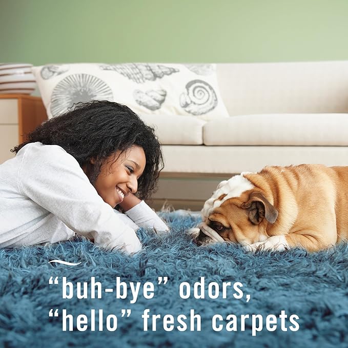 Febreze FABRIC Downy Calm & Febreze Heavy Duty Carpet Rainforest Breeze, 16.9oz, 2 pack