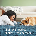 Febreze FABRIC Downy Calm & Febreze Heavy Duty Carpet Rainforest Breeze, 16.9oz, 2 pack