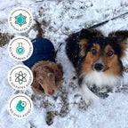 Poo-Pourri Pawsitively Fresh Pocket Deodorizer Spray – Dog & Cat Odor Remover – Plant Based Ingredients – Vet Recommended – Great for Air, Carpet, Fabric, Litter Box, Urine & Strong Pet Odors