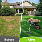 WORKPRO Thatch Rake, 15-Inch Thatching Rake for Lawns, Heavy Duty Dethatcher Rakes with 5FT Handle, Dethatching Rakes with Adjustable Head for Removing Dead Grass and Clippings, Loosening Soil