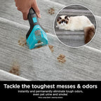 Shark StainStriker OXY Multiplier Formula for Shark Upright & Portable Carpet Cleaners, Formulated for All Carpets, Upholstery & Area Rugs, Instantly Eliminates Odors, 32oz, XSKEXOX32B