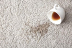 Spotzee Carpet Cleaner - Remove Anything Tracked Onto Carpet, spot cleaner, 32oz. (Pack of 6)