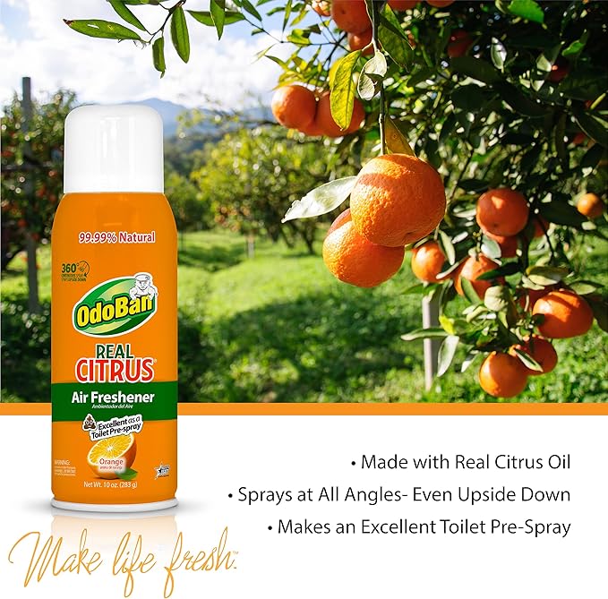 OdoBan Aroma Eliminator Set, Made in the USA, 10 Ounce Natural Oil Real Citrus Orange Air Freshener Spray, 1 Gallon Multipurpose Disinfectant Cleaning Concentrate, 14 Ounce Solid Scent Absorber