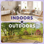 Mint+ Insect and Pest Control Spray, Residue-Free Bug Killer for Indoor & Outdoor Use, 16 oz (475mL)