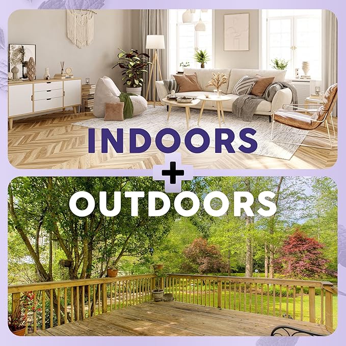 Mint+ Insect and Pest Control Spray, Residue-Free Bug Killer for Indoor & Outdoor Use, 16 oz (475mL)