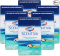 Clorox Scentiva Fabric Softening Dryer Sheets, 105 Sheets per Pack, Pacific Breeze & Coconut Scent | Bleach-Free Fabric Softener Sheets for Static Control and Reduce Wrinkles (6 Pack)