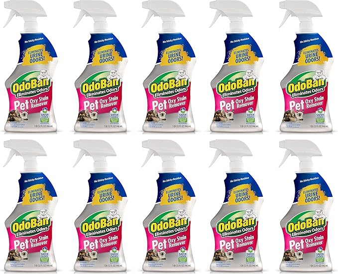 OdoBan Pet Solutions Oxy Stain Remover, Pet Stain Eliminator, Made in the USA, 10-Pack, 32 Ounce Spray Each
