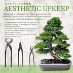 BambooMN Bonsai 3 Piece Set, Trunk Splitter, Jin Pliers, and Root Cutter, Bonsai Trimming, Beginner Friendly - 1 Set