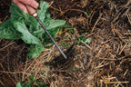Barebones Triangle Hoe - Stainless Steel Hoe - Japanese Gardening Tools for Weeding, Long Handle and Hand Hoe (Walnut/Black)