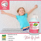 OdoBan Professional Cleaning and Odor Control Solutions, Ready-to-Use Biostain and Odor Remover, Made in the USA, 4 Gallons