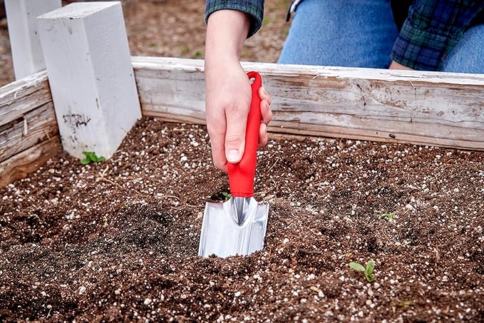 Corona CT 3010I Trowel