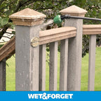 Wet & Forget Moss, Mold, Mildew, & Algae Stain Remover Multi-Surface Outdoor Cleaner Concentrate, Original, 128 Fluid Ounces
