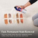 Bissell Professional Power Shot Oxy Carpet Spot & Stain Remover, 14 oz (Pack of 2), 95C9L