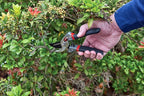 CRAFTSMAN CMXMCBA0700 Bypass Pruning Shears Lightweight Steel, Black