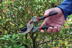 CRAFTSMAN CMXMCBA0700 Bypass Pruning Shears Lightweight Steel, Black