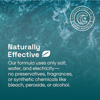 Clean Republic Multi-Purpose Disinfectant, Cleaning Spray, 32 Fluid Ounce Bottle, 4-Pack