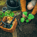 Fiskars Eco Trowel with Curved Spade, Ergonomic Handle, UV Resistance, Durable, Eco-Friendly Tool for Planters and Garden Beds