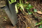 Root Slayer 22011, Shovel, Red