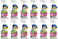 OdoBan Pet Solutions Oxy Stain Remover, Pet Stain Eliminator, Made in the USA, 12-Pack, 32 Ounce Spray Each