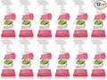 OdoBan Professional Cleaning BioStain and Odor Remover for Carpet and Upholstery, Made in the USA, 32 oz Ready-to-Use Spray 12-Pack