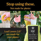 BLESS YOUR SOIL Microfiber Dusting Gloves for Plants : Premium, Gentle, Traps Dust, Washable, Lint Free : Use with Big Leaf Energy ready-to-use spray for houseplants