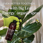 BLESS YOUR SOIL Microfiber Dusting Gloves for Plants : Premium, Gentle, Traps Dust, Washable, Lint Free : Use with Big Leaf Energy ready-to-use spray for houseplants