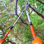 Loppers for Tree Trimming Heavy Duty, 26-40 Inch Handle Telescopic Tree Trimmer, Sync Drive Leverage Pruner, 2 Inch Branch Cutter