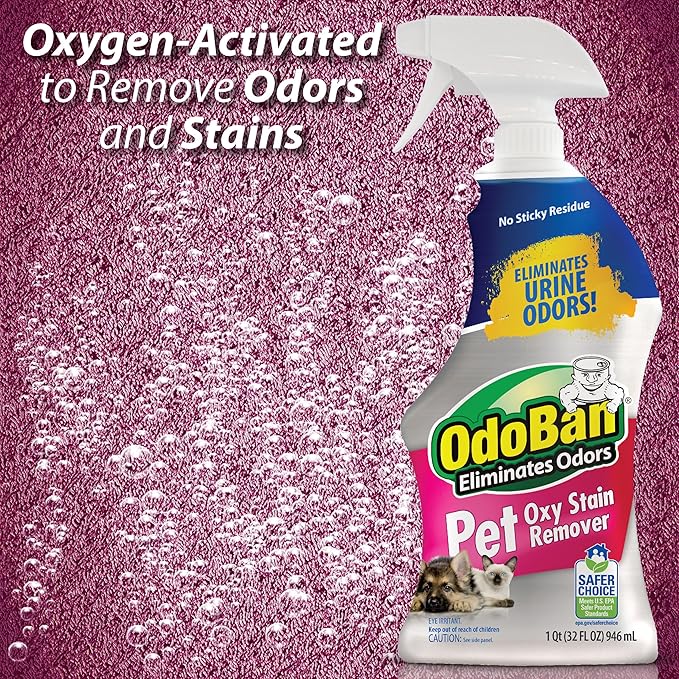 OdoBan Pet Solutions Oxy Stain Remover, Pet Stain Eliminator, Made in the USA, 10-Pack, 32 Ounce Spray Each