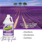 OdoBan Ready-to-Use Disinfectant and Odor Eliminator, Made in the USA, Lavender Scent, Set of 2, 32 oz Spray and 1 Gallon Concentrate