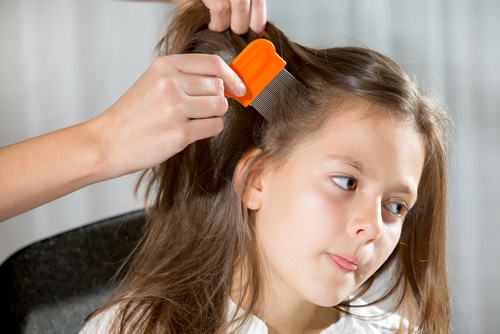 how-to-remove-lice-from-hair-permanently